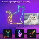 color changing neon flex light